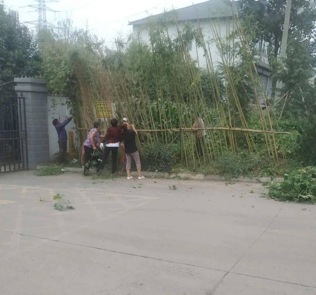 叶县县委书记回应网传强拆果园：不存在强拆