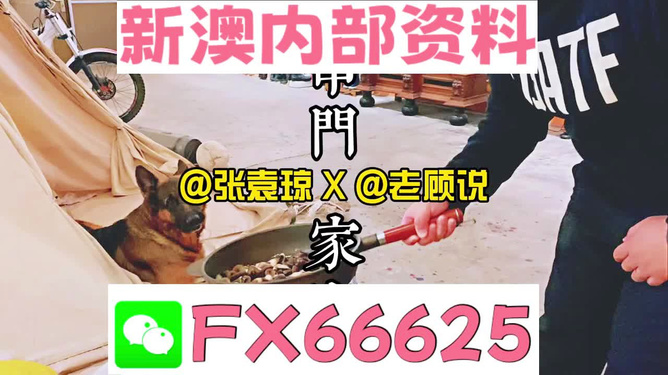 新澳门精准资料大全管家婆料,平衡性策略实施指导_ar版0.103